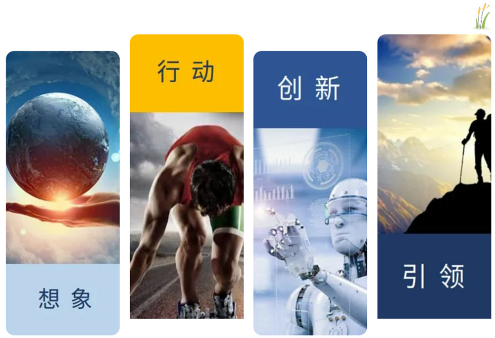 未标题-4.jpg 未标题-4.jpg